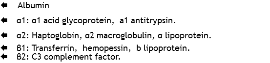 Å Albumin
Å α1: α1 acid glycoprotein, a1 antitrypsin.
Å α2: Haptoglobin, α2 macroglobulin, α lipoprotein.
Å β1: Transferrin, hemopessin, b lipoprotein.
Å β2: C3 complement factor.