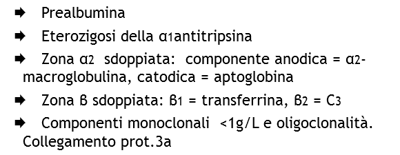 Æ Prealbumina
Æ Eterozigosi della α1antitripsina
Æ Zona α2 sdoppiata: componente anodica = α2-macroglobulina, catodica = aptoglobina
Æ Zona β sdoppiata: β1 = transferrina, β2 = C3
Æ Componenti monoclonali <1g/L e oligoclonalità. Collegamento prot.3a