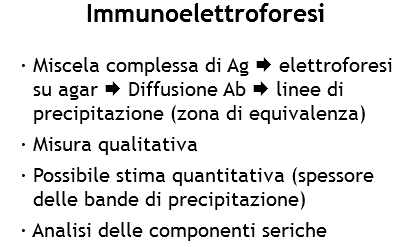 Immunoelettroforesi · Miscela complessa di Ag Æ elettroforesi su agar Æ Diffusione Ab Æ linee di precipitazione (zona di equivalenza)
· Misura qualitativa
· Possibile stima quantitativa (spessore delle bande di precipitazione)
· Analisi delle componenti seriche