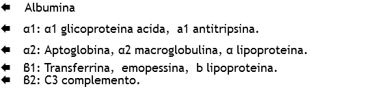 Å Albumina
Å α1: α1 glicoproteina acida, a1 antitripsina.
Å α2: Aptoglobina, α2 macroglobulina, α lipoproteina.
Å β1: Transferrina, emopessina, b lipoproteina.
Å β2: C3 complemento.