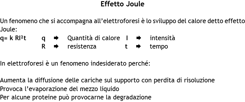 Effetto Joule Un fenomeno che si accompagna all’elettroforesi è lo sviluppo del calore detto effetto Joule:
q= k RI²t q Æ Quantità di calore I Æ intensità R Æ resistenza t Æ tempo In elettroforesi è un fenomeno indesiderato perché: Aumenta la diffusione delle cariche sul supporto con perdita di risoluzione
Provoca l’evaporazione del mezzo liquido
Per alcune proteine può provocarne la degradazione