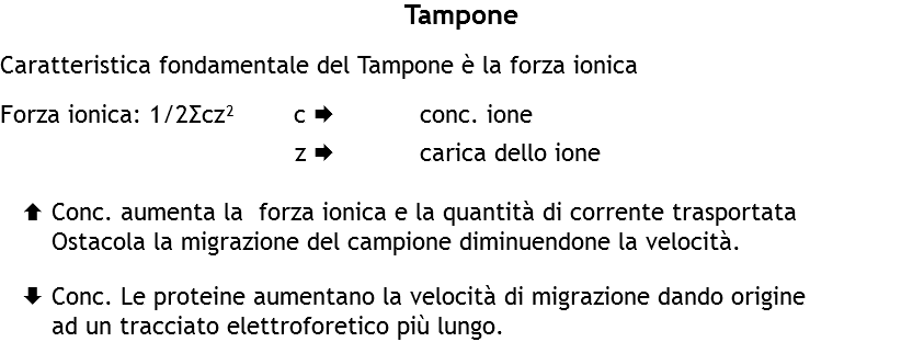 Tampone Caratteristica fondamentale del Tampone è la forza ionica Forza ionica: 1/2Σcz² c Æ conc. ione z Æ carica dello ione Ç Conc. aumenta la forza ionica e la quantità di corrente trasportata  Ostacola la migrazione del campione diminuendone la velocità. È Conc. Le proteine aumentano la velocità di migrazione dando origine  ad un tracciato elettroforetico più lungo.