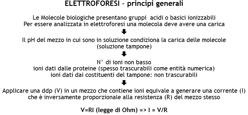 ELETTROFORESI – principi generali Le Molecole biologiche presentano gruppi acidi o basici ionizzabili
Per essere analizzata in elettroforesi una molecola deve avere una carica
È
Il pH del mezzo in cui sono in soluzione condiziona la carica delle molecole
(soluzione tampone)
È
N° di ioni non basso
ioni dati dalle proteine (spesso trascurabili come entità numerica)
ioni dati dai costituenti del tampone: non trascurabili
È
Applicare una ddp (V) in un mezzo che contiene ioni equivale a generare una corrente (I) che è inversamente proporzionale alla resistenza (R) del mezzo stesso V=RI (legge di Ohm) => I = V/R