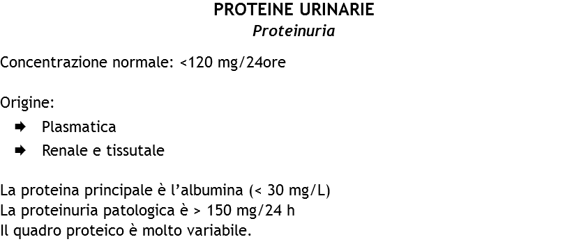 PROTEINE URINARIE
Proteinuria Concentrazione normale: <120 mg/24ore Origine:
Æ Plasmatica
Æ Renale e tissutale La proteina principale è l’albumina (< 30 mg/L)
La proteinuria patologica è > 150 mg/24 h Il quadro proteico è molto variabile.