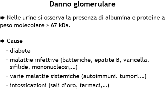 Danno glomerulare Æ Nelle urine si osserva la presenza di albumina e proteine a peso molecolare > 67 kDa. Æ Cause
· diabete
· malattie infettive (batteriche, epatite B, varicella, sifilide, mononucleosi,…) · varie malattie sistemiche (autoimmuni, tumori,…)
· intossicazioni (sali d’oro, farmaci,…)