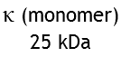 κ (monomer)
25 kDa