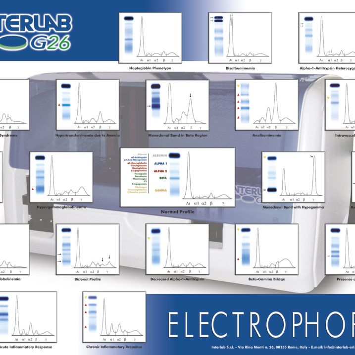 poster_electrophoresis_g26